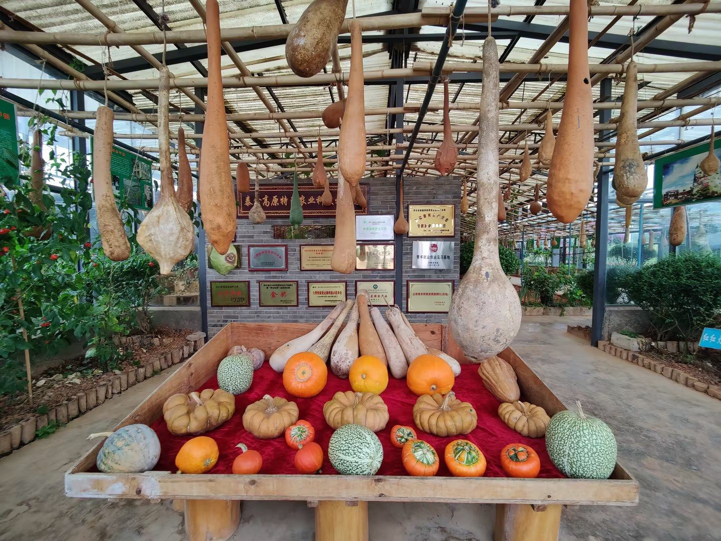 2ce1c72d-552e-4de0-812d-3fbca0bb5145.jpg 2ce1c72d-552e-4de0-812d-3fbca0bb5145.jpg