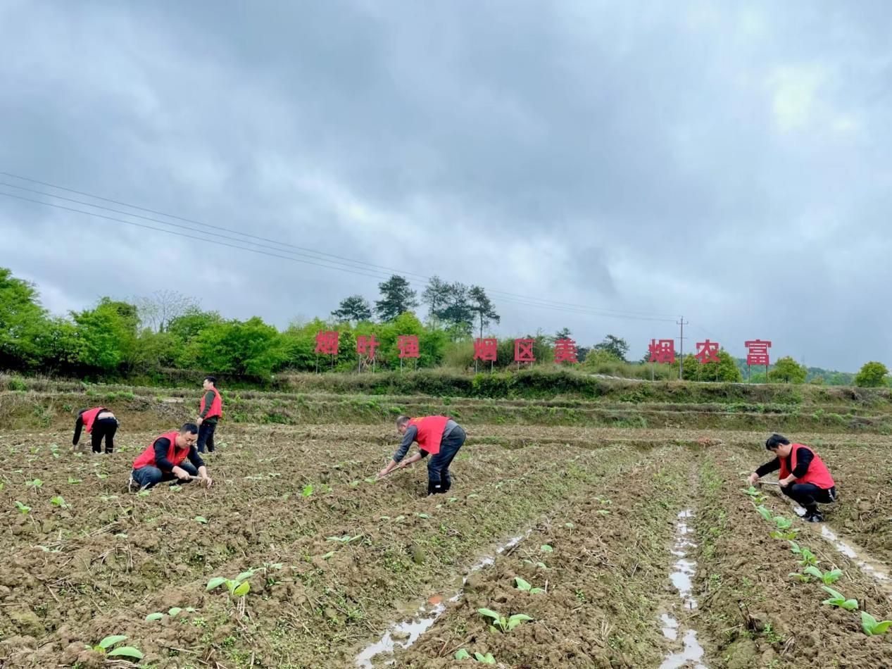 1705978608677202.png 圖片 1.png