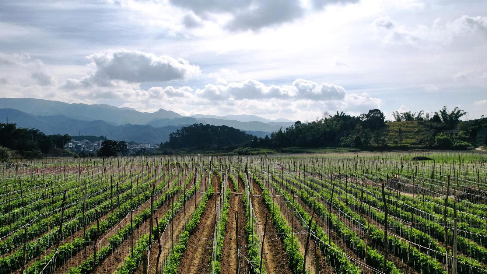 b725516e-fe8f-4b6f-a8d0-adfb114b18df.jpg b725516e-fe8f-4b6f-a8d0-adfb114b18df.jpg