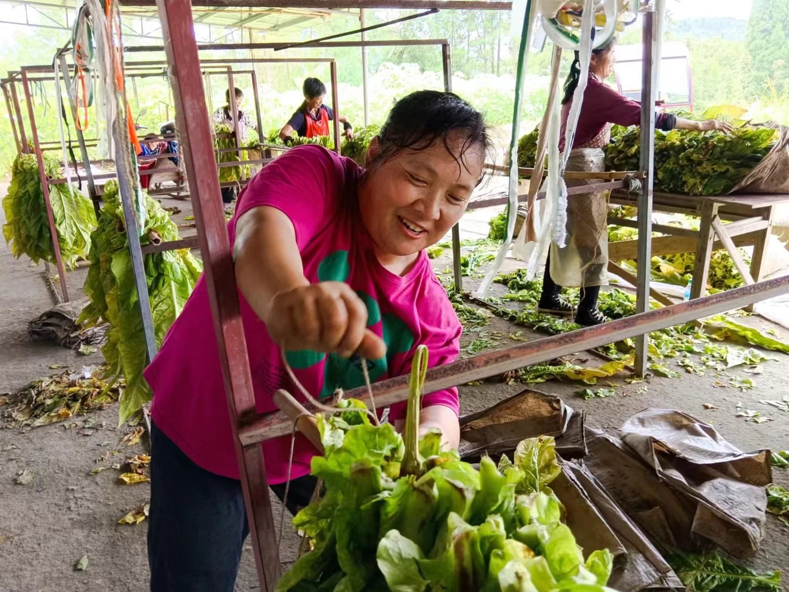 e0b104669bf8d9b880e556afab90c75.jpg e0b104669bf8d9b880e556afab90c75.jpg