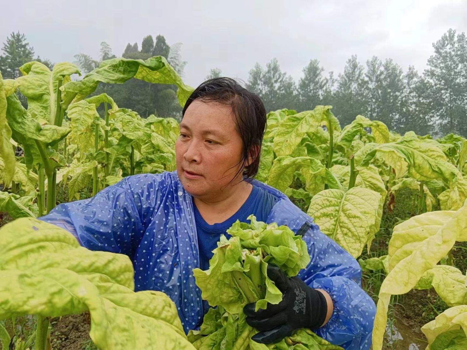 992391d721509c4788c81b072cff20d.jpg 992391d721509c4788c81b072cff20d.jpg