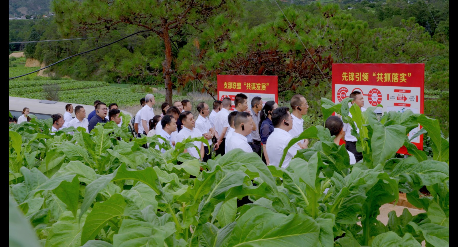 全市烤煙高質(zhì)量發(fā)展現(xiàn)場會.jpg