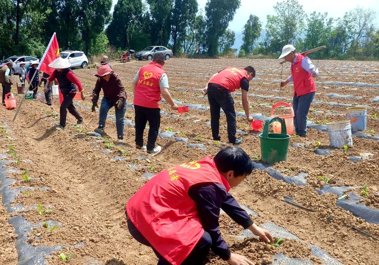 微信圖片_20250617161851.jpg 微信圖片_20250617161851.jpg