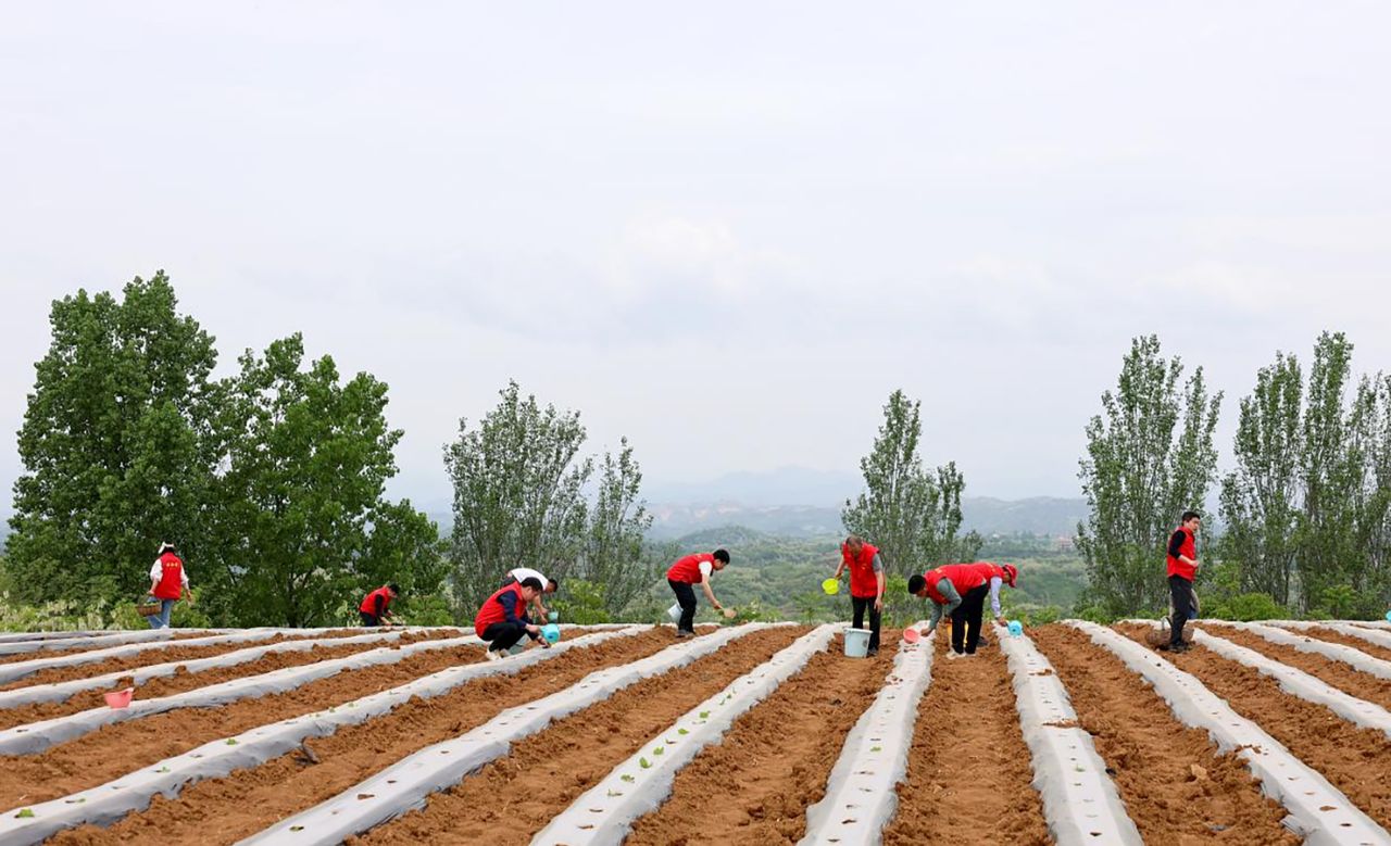 微信圖片_20250618164652.png 微信圖片_20250618164652.png