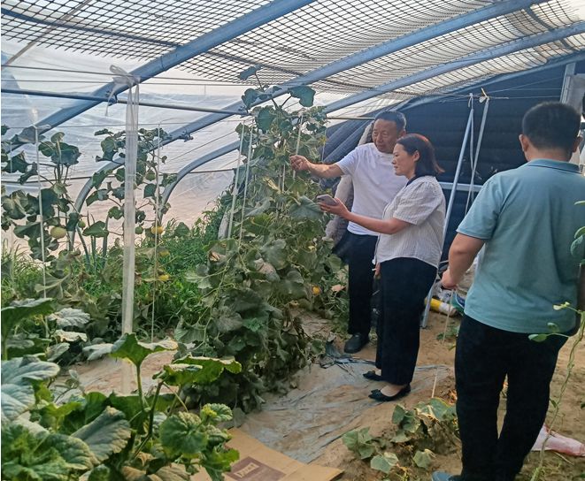 685e333b6b8efd9fa63fbd80_m.png 685e333b6b8efd9fa63fbd80_m.png