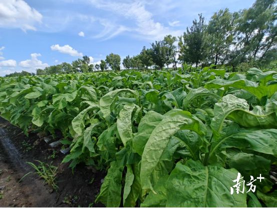 2c1fa81c387d493d89eb646514b2a6d3.png 2c1fa81c387d493d89eb646514b2a6d3.png