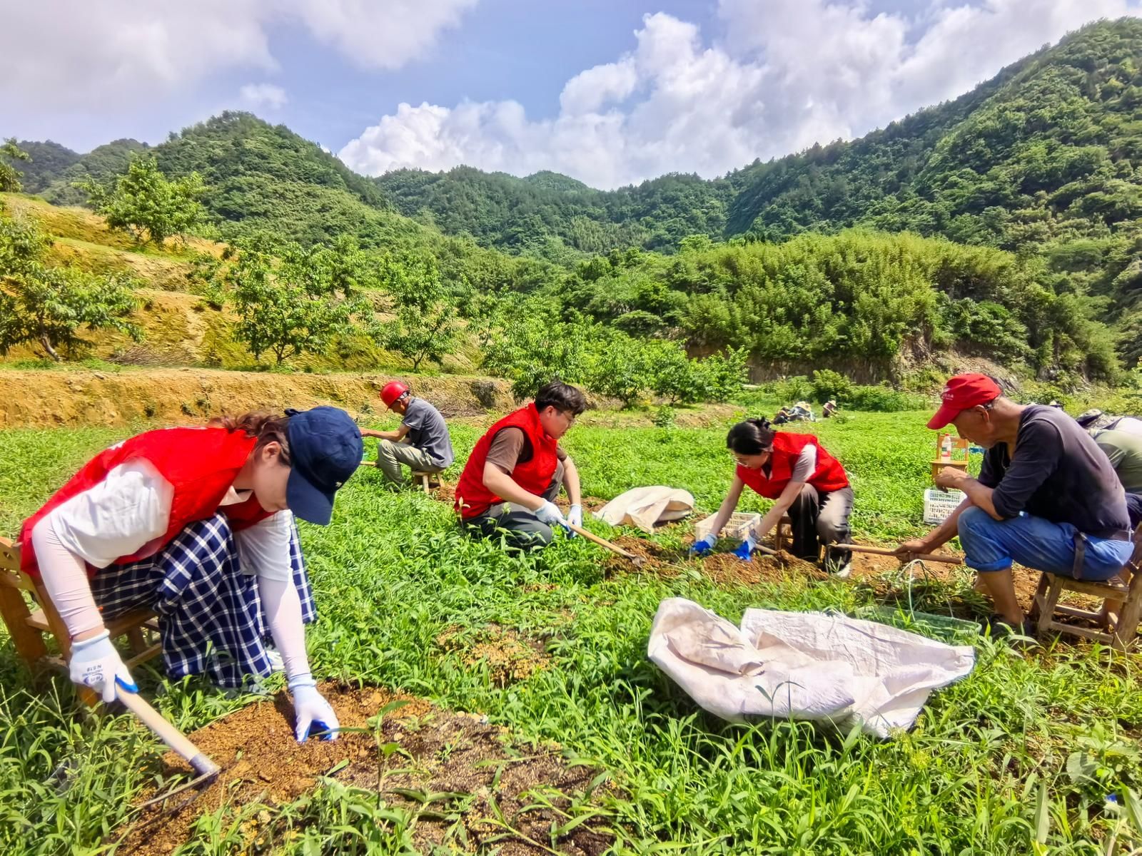 1282182_19a94c93-c33e-4d08-ae91-390251eb4695.jpg 1282182_19a94c93-c33e-4d08-ae91-390251eb4695.jpg