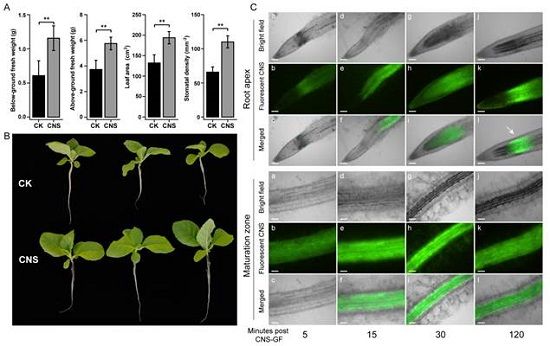 0FE04040560EB059EA3C3CECB33DA934.jpg 0FE04040560EB059EA3C3CECB33DA934.jpg