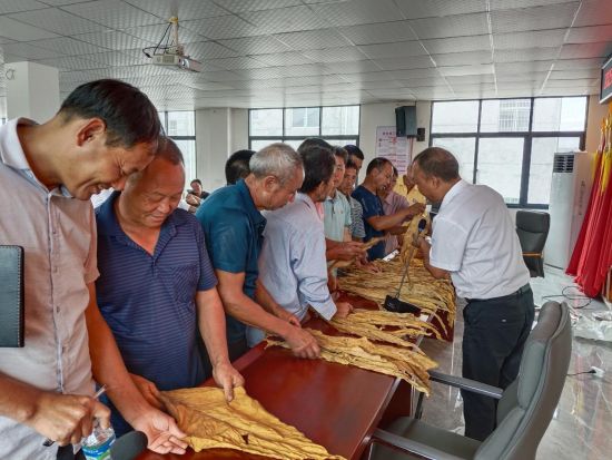 圖為培訓現(xiàn)場指導煙農分級要點 圖為培訓現(xiàn)場指導煙農分級要點