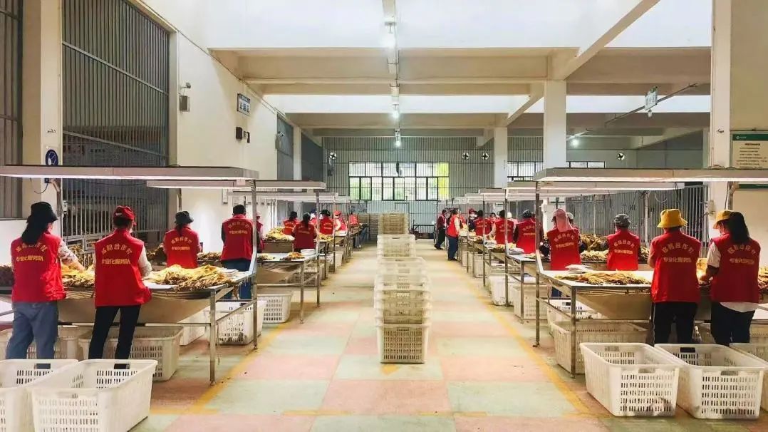 微信圖片_20250731091415.jpg 微信圖片_20250731091415.jpg