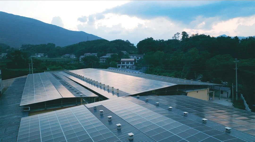 微信圖片_20250731091409.jpg 微信圖片_20250731091409.jpg