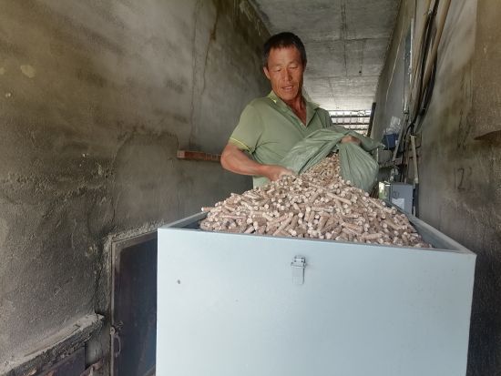 圖為煙農(nóng)李國忠往燃燒機(jī)里添加生物質(zhì)顆粒燃料 圖為煙農(nóng)李國忠往燃燒機(jī)里添加生物質(zhì)顆粒燃料