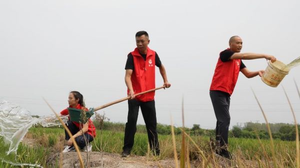 1754549442325.jpg 1754549442325.jpg