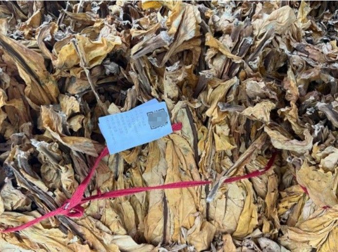 6899a87c6b8e905bd1d5044a_m.jpg 6899a87c6b8e905bd1d5044a_m.jpg