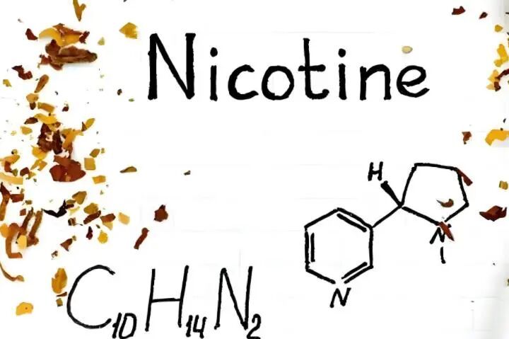 微信圖片_20250910093700.jpg 微信圖片_20250910093700.jpg