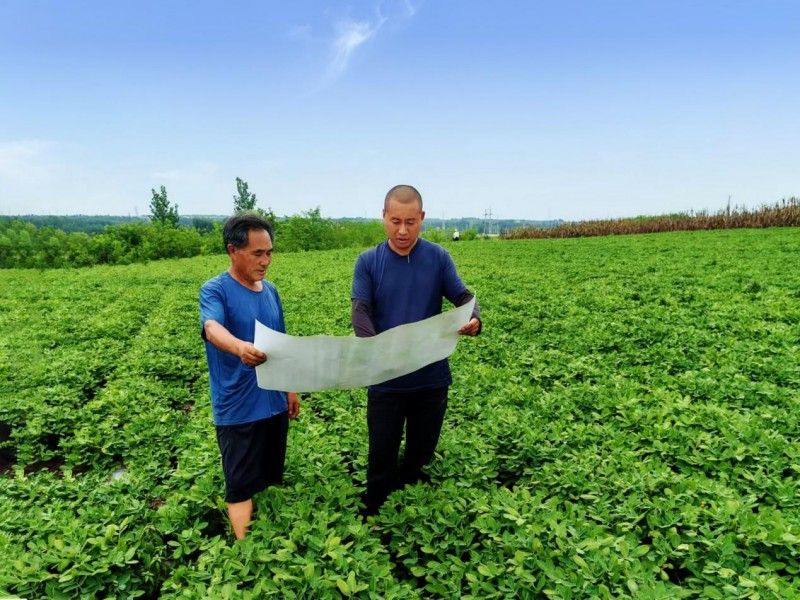 68c7952a6b8e905bd1d95a82_m.jpeg 68c7952a6b8e905bd1d95a82_m.jpeg