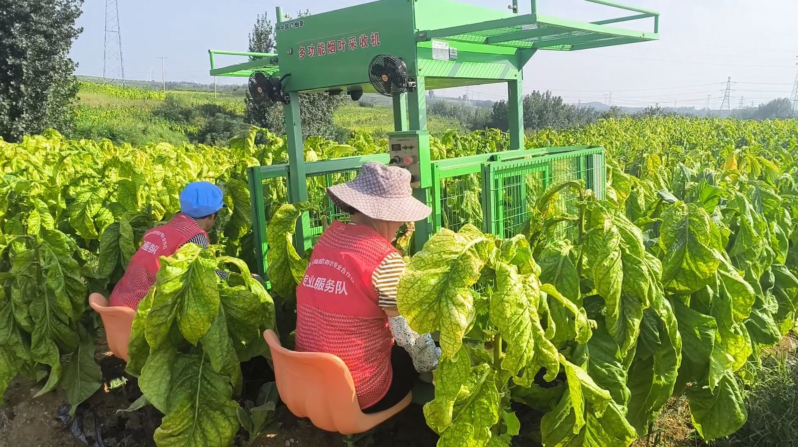 1293595_cad95f4f-5108-4566-8584-9d32f640d3da.png 1293595_cad95f4f-5108-4566-8584-9d32f640d3da.png