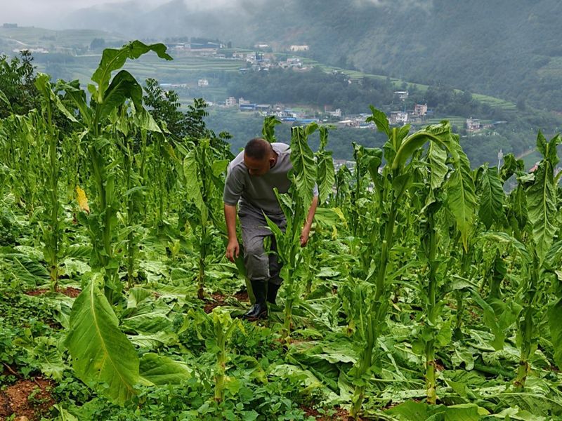 025eaab6-2936-4d7e-95e6-9107237e4241 副本.png