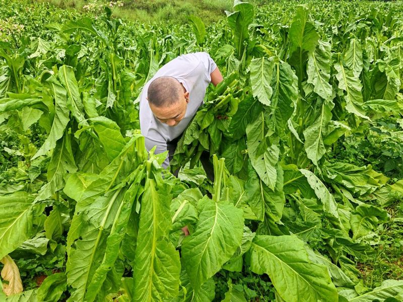 58587aef-c28f-4206-879e-51ca2df96705 副本.png