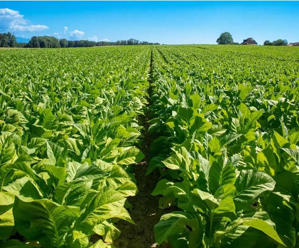 微信圖片_20251015104034.jpg 微信圖片_20251015104034.jpg