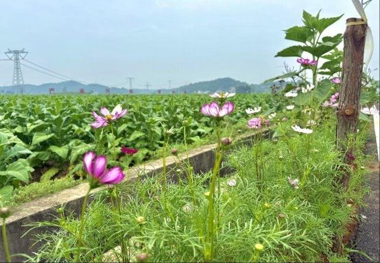 68ecb0776b8e45156f2fab14_m.jpg 68ecb0776b8e45156f2fab14_m.jpg