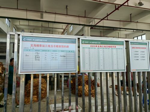 68ef16d36b8e45156f2fd7df_m.png 68ef16d36b8e45156f2fd7df_m.png