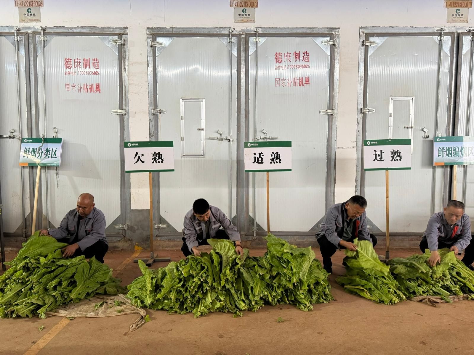 20251010200152152T1137.jpeg 20251010200152152T1137.jpeg