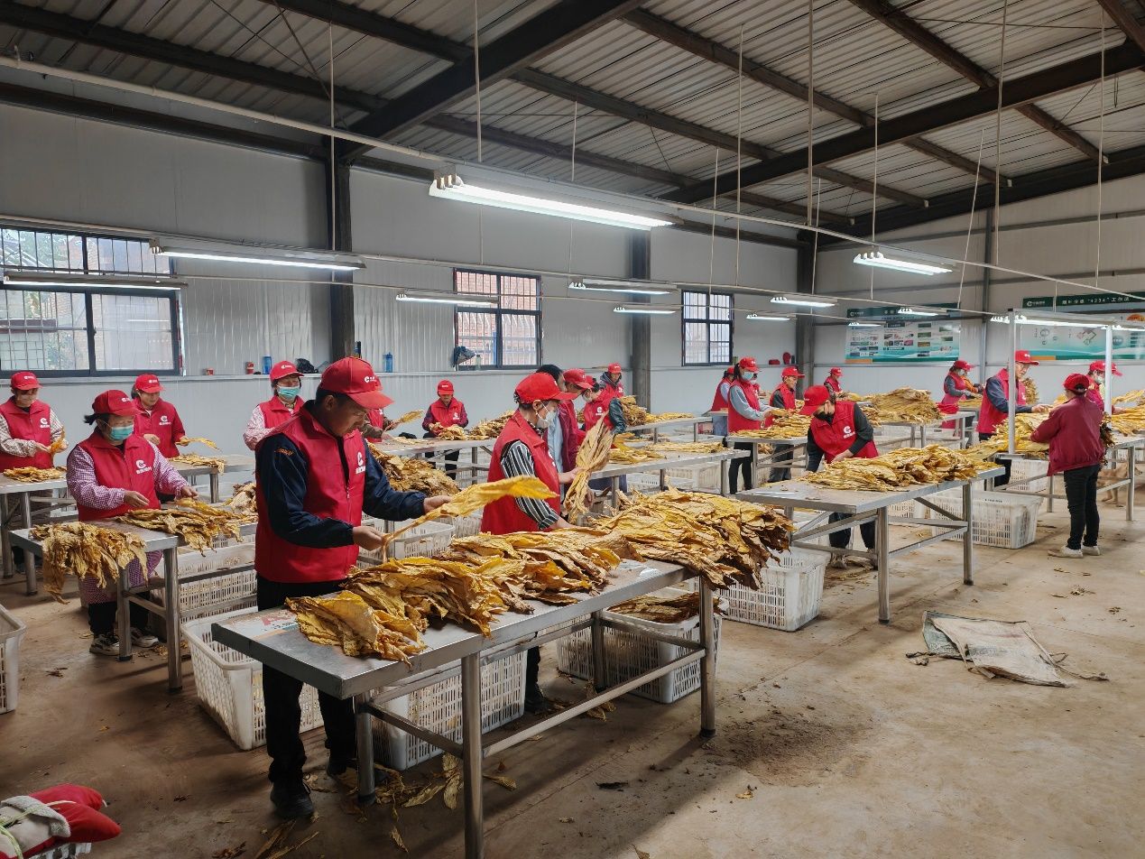 20251013191518150T2226.jpeg 20251013191518150T2226.jpeg