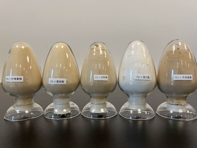 部分生物酶制劑產(chǎn)品