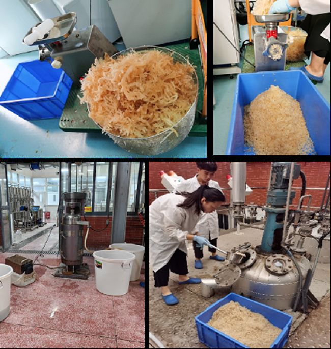 海藻多糖制備過(guò)程