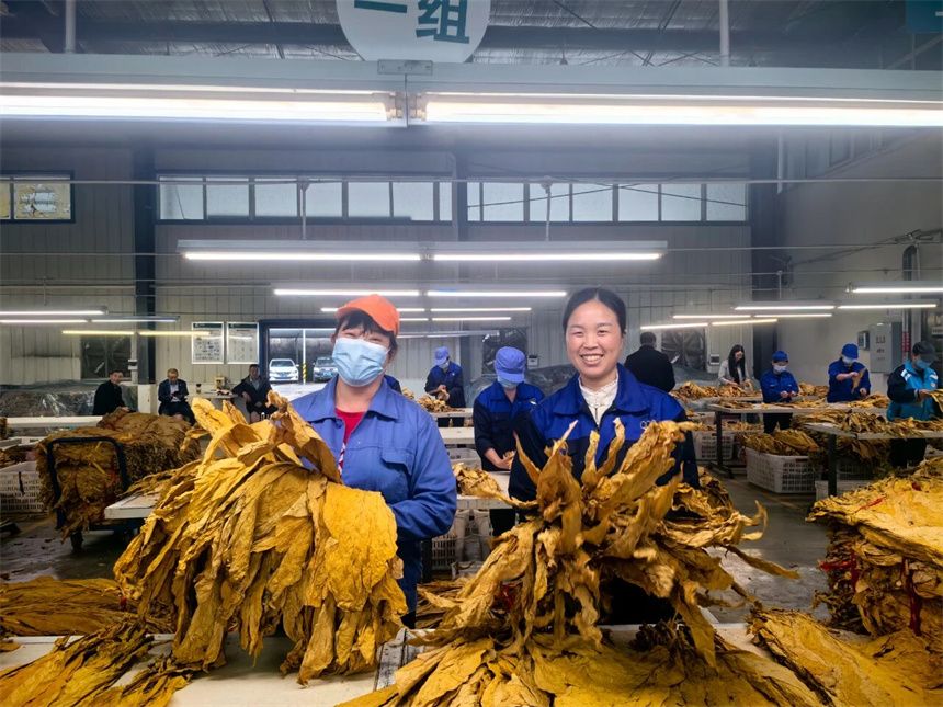 LOCAL1762224710537XPDXHBUMKO.jpg LOCAL1762224710537XPDXHBUMKO.jpg