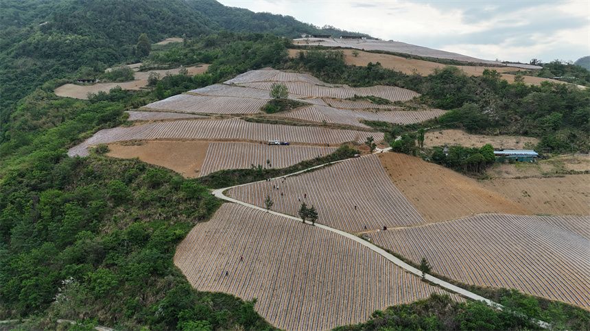 LOCAL1762224710569I1BRX7JC3D.jpg LOCAL1762224710569I1BRX7JC3D.jpg