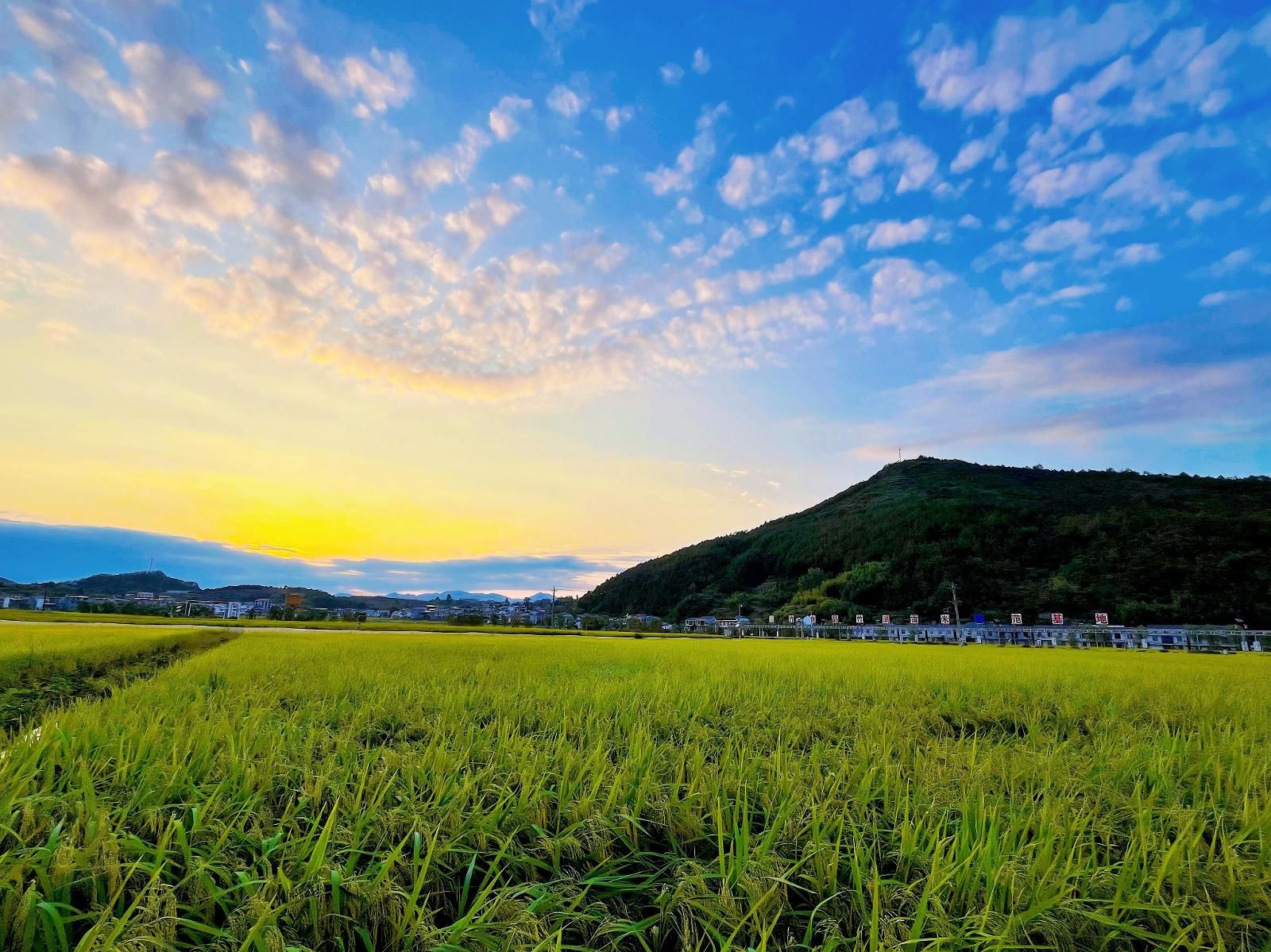 1297489_9ee460a8-312f-4cab-9d04-2865e825e007.jpg 1297489_9ee460a8-312f-4cab-9d04-2865e825e007.jpg