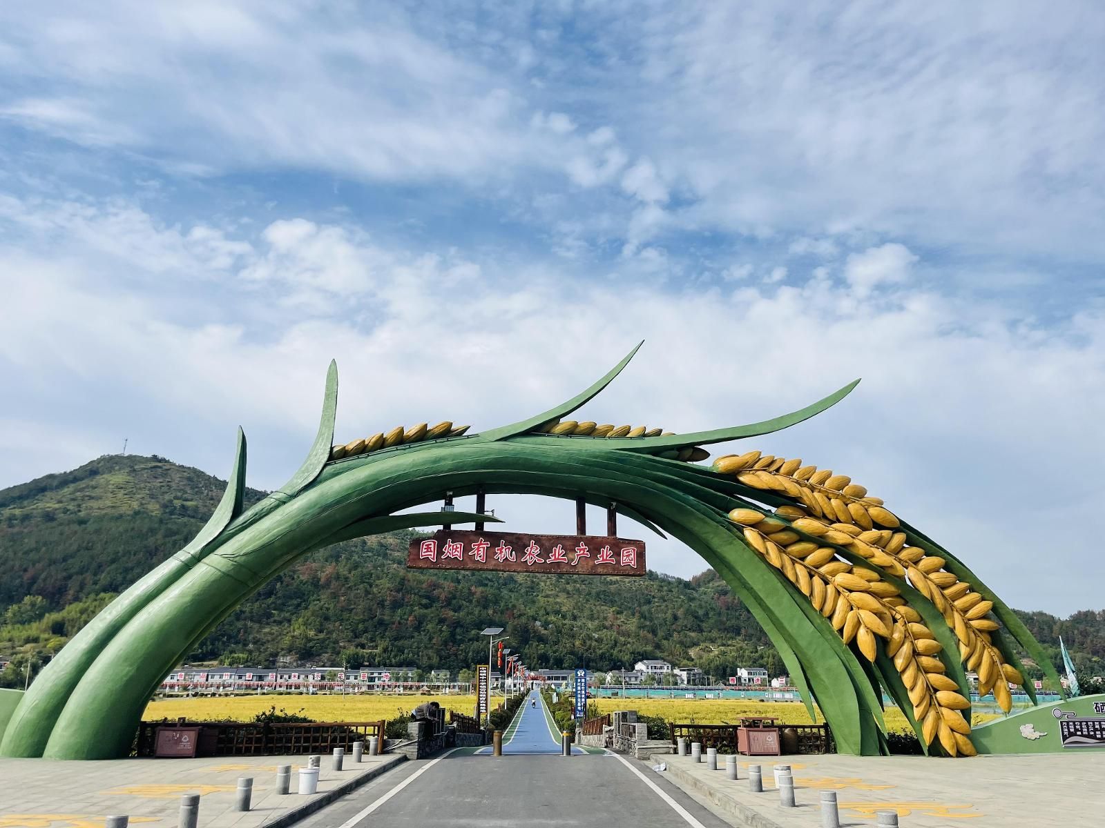 1297489_3e52271d-4f0a-4d29-a5b3-88ffae473897.jpg 1297489_3e52271d-4f0a-4d29-a5b3-88ffae473897.jpg