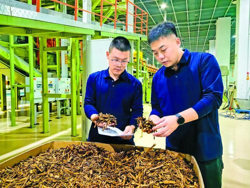 1298186_43e9c9b6-53e9-42fd-828b-cb60aa9f9b14.jpg 1298186_43e9c9b6-53e9-42fd-828b-cb60aa9f9b14.jpg