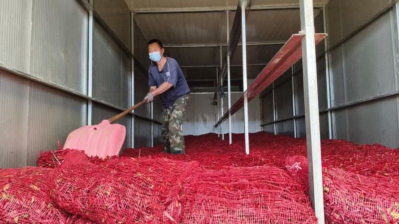 691449846b8e45156f335f3f_m.jpeg 691449846b8e45156f335f3f_m.jpeg