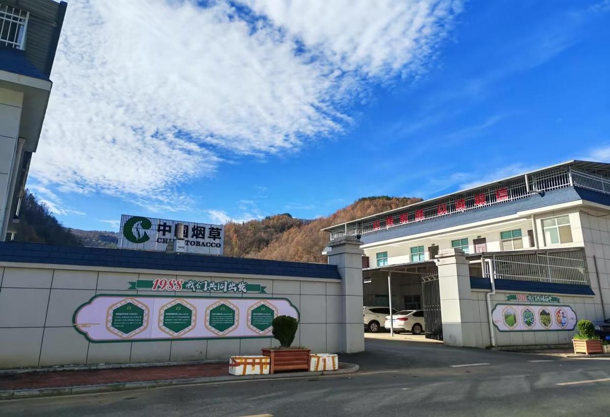 692546d56b8e45156f34c944_m.jpg 692546d56b8e45156f34c944_m.jpg