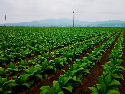 6926b3a06b8e45156f34f538_m.jpeg 6926b3a06b8e45156f34f538_m.jpeg