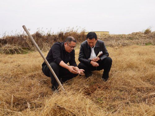 20251127193823251T9217.jpg 20251127193823251T9217.jpg