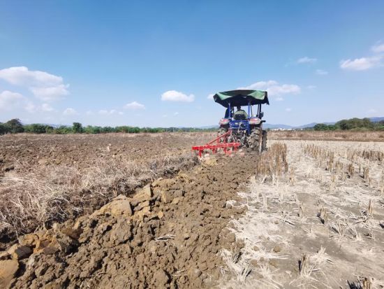 圖為永豐縣藤縣鎮(zhèn)老圩村煙田冬耕深翻現(xiàn)場 圖為永豐縣藤縣鎮(zhèn)老圩村煙田冬耕深翻現(xiàn)場