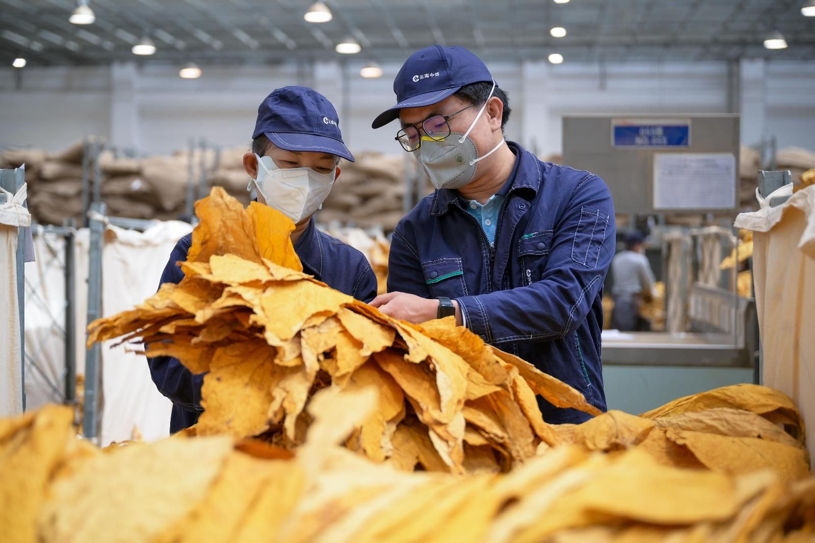 1301602_ab7264fa-0d09-49a0-9f1d-04e7c71309bd.jpg 1301602_ab7264fa-0d09-49a0-9f1d-04e7c71309bd.jpg