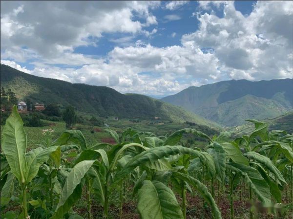 微信圖片_20251211092412.png 微信圖片_20251211092412.png